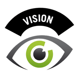vision